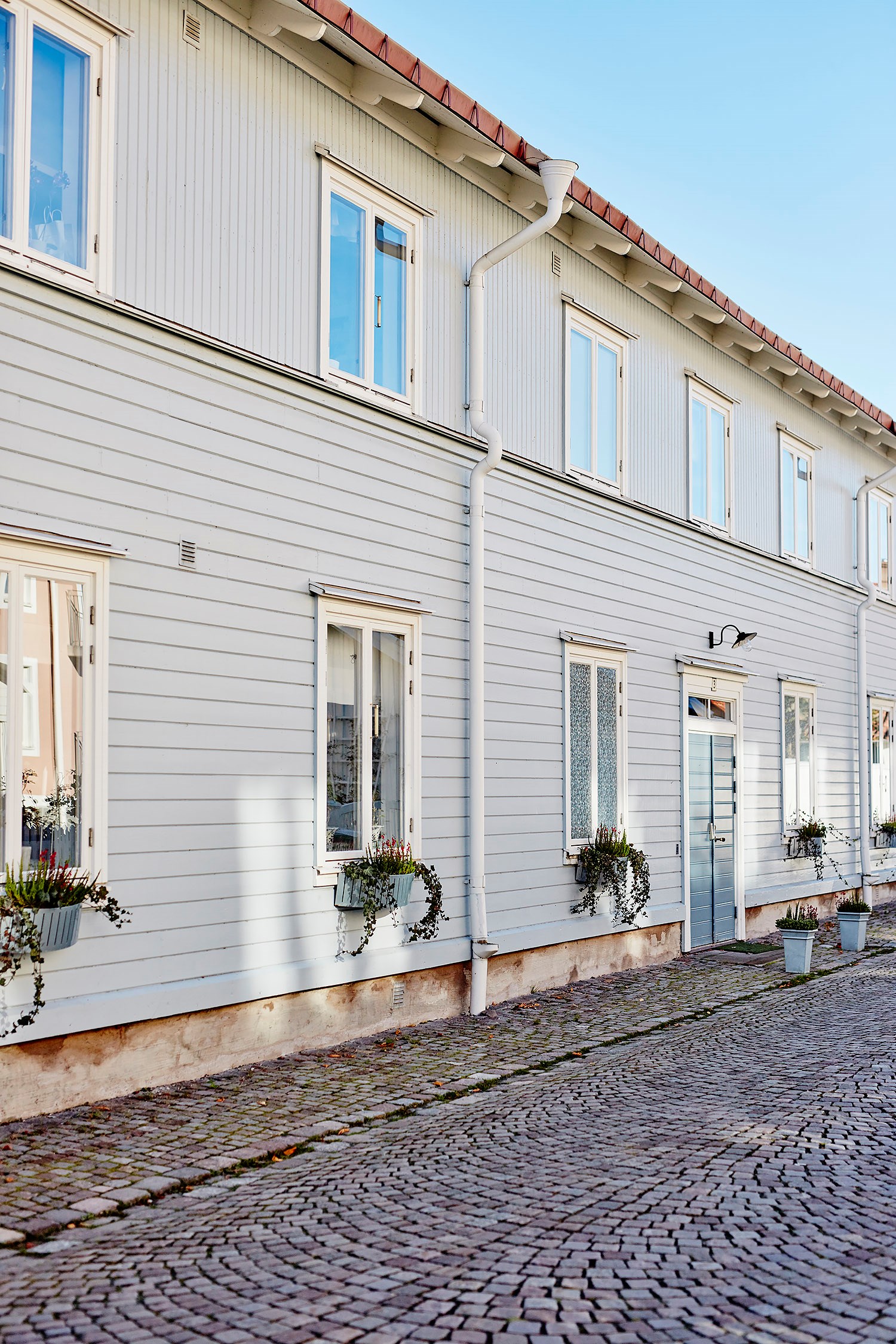 Föreningen
