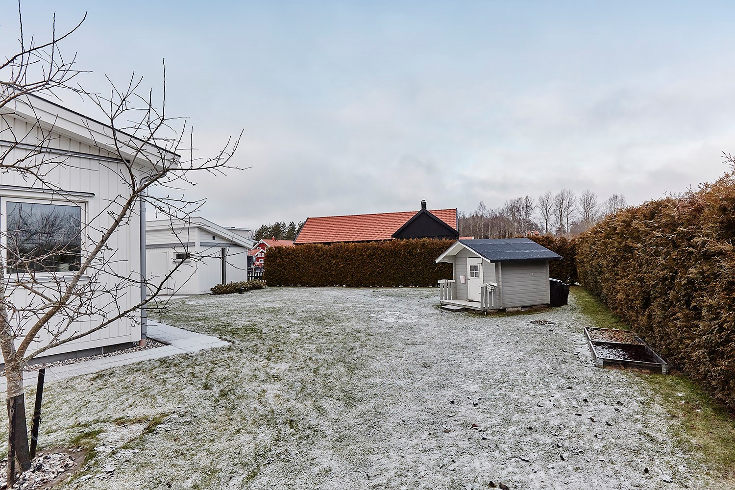 Trädgården