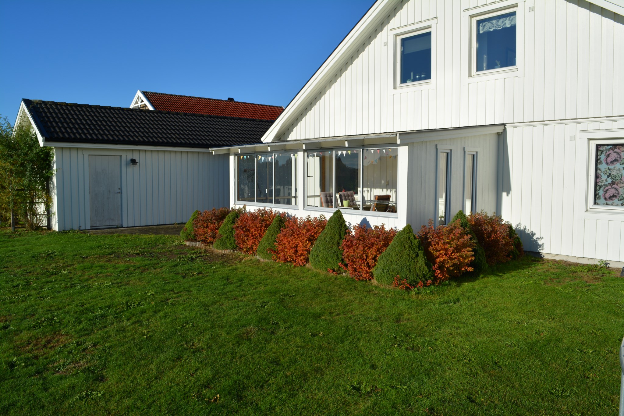 Trädgård
