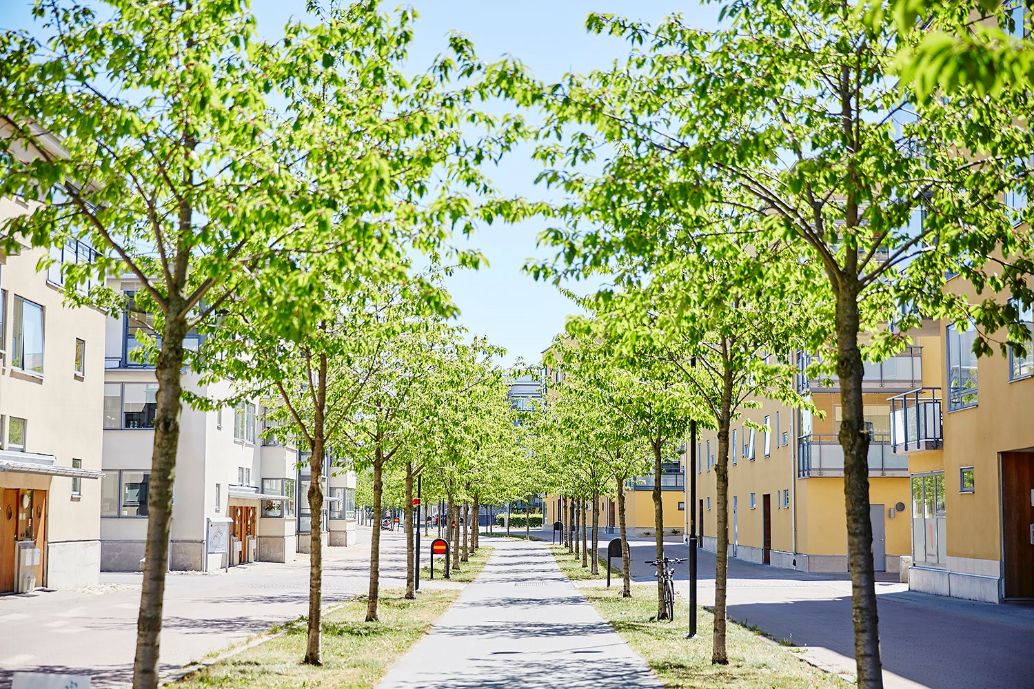Kålgården
