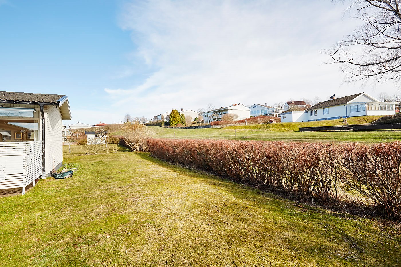 Trädgård