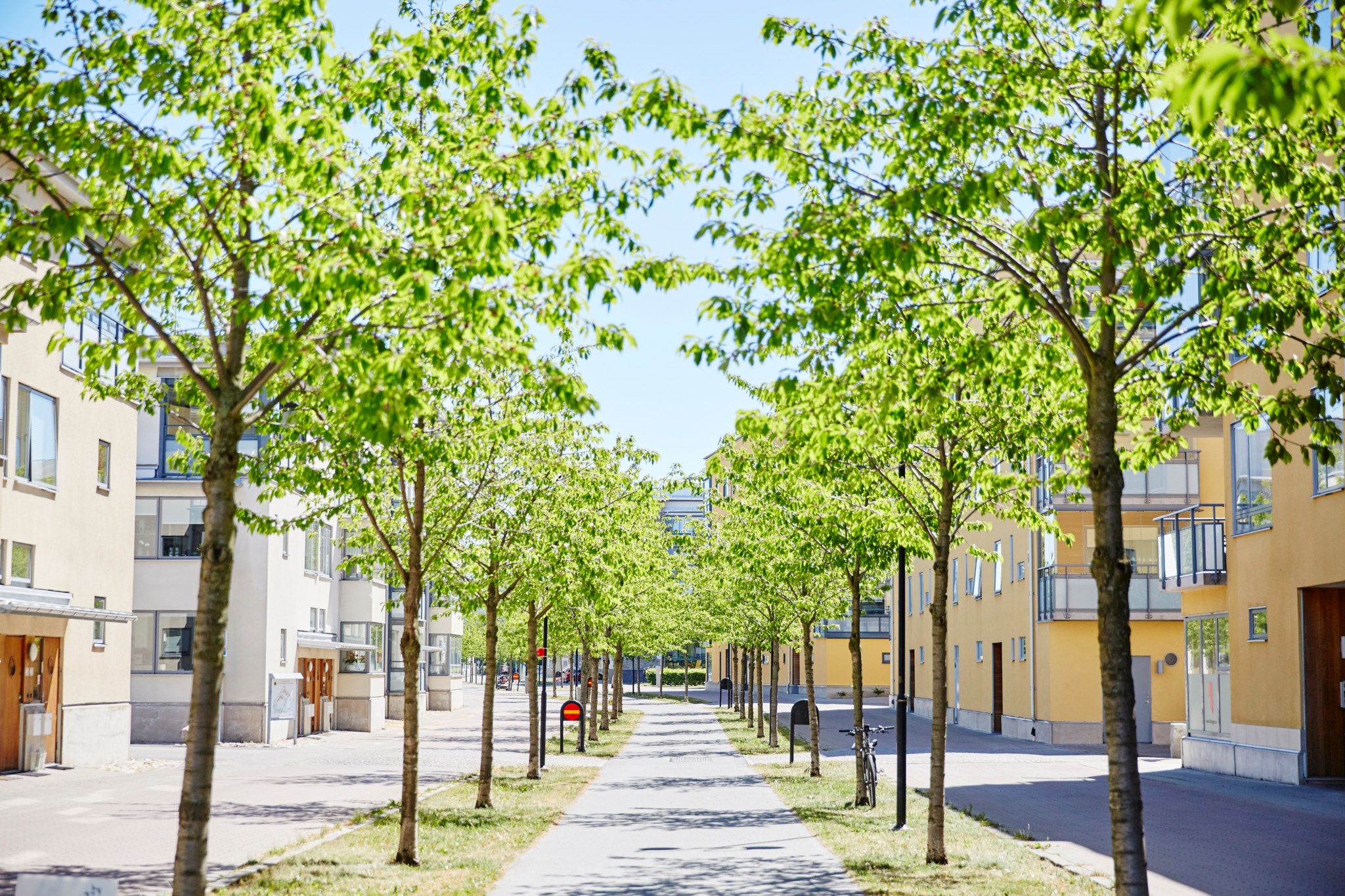 Kålgården