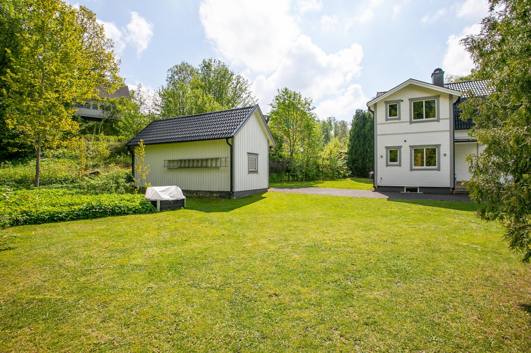 Trädgård