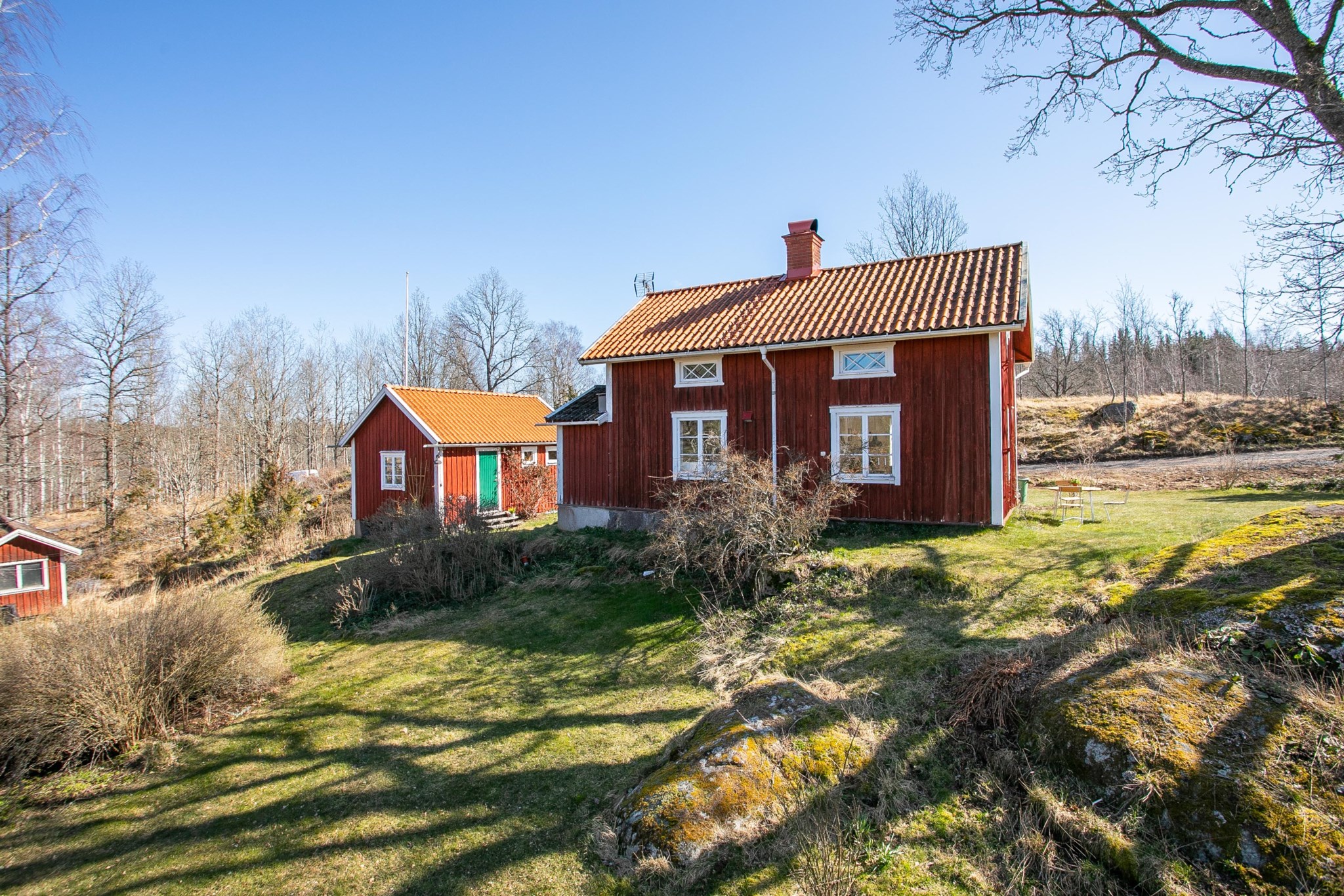 Trädgården