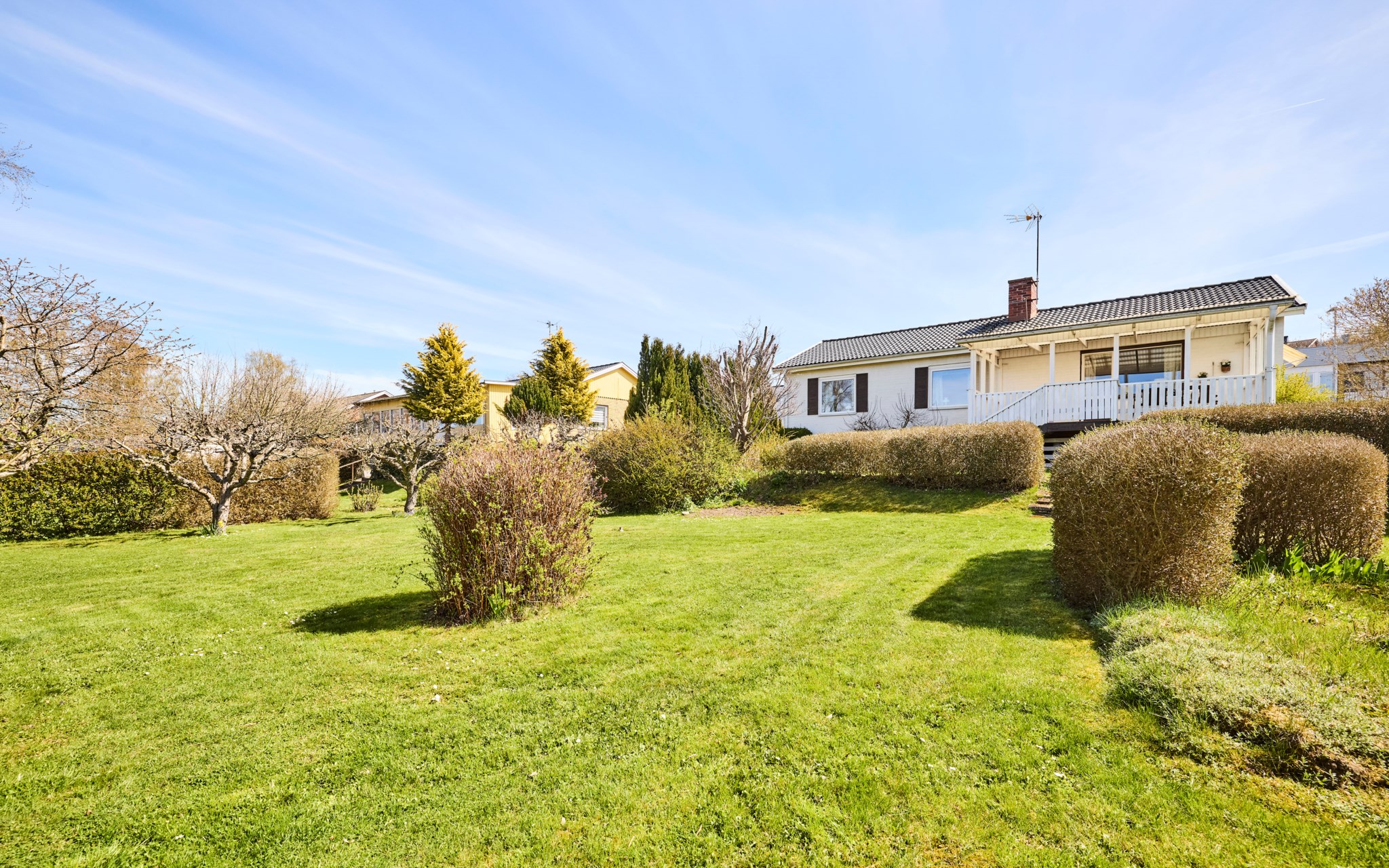 Citat 3
