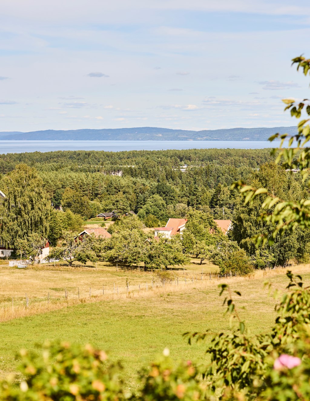 Snabbfakta 1-10