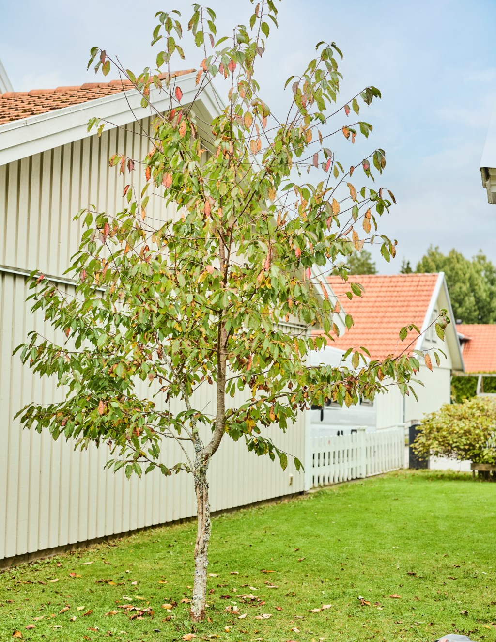 Snabbfakta 1-44